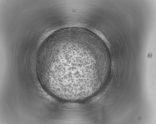 X0000093360577200711011209