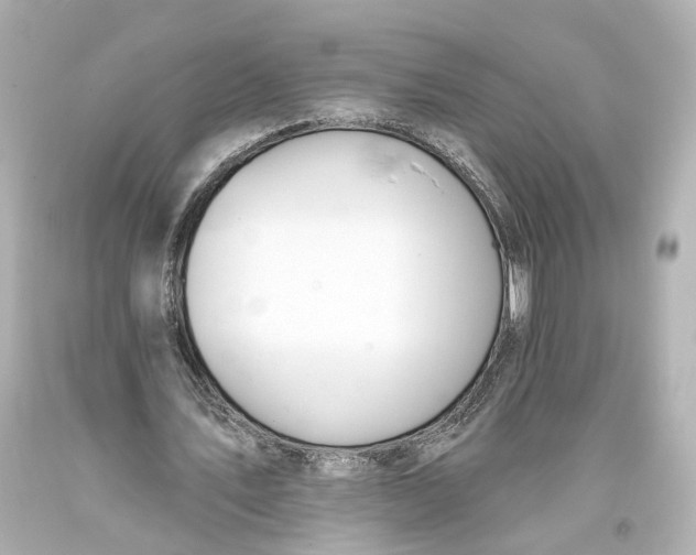 X0000093360579200711011209