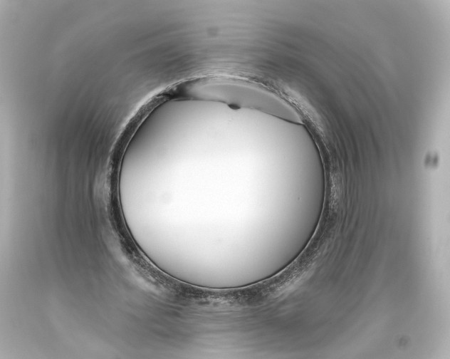 X0000093360580200711011209