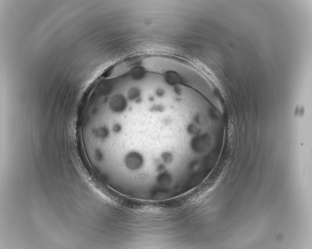 X0000093360581200711011209