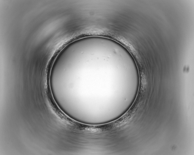 X0000093360582200711011209