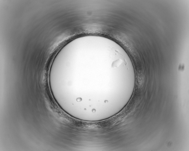 X0000093360583200711011209