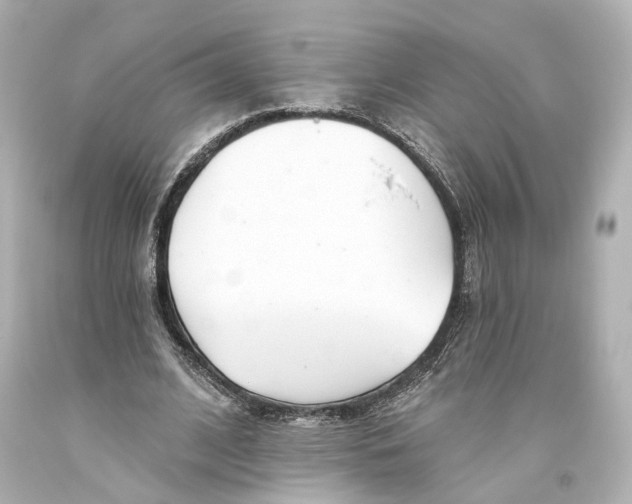 X0000093360584200711011209