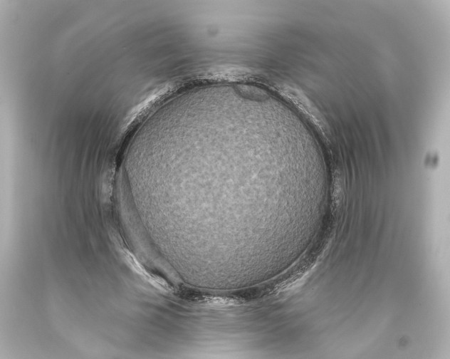 X0000093360585200711011209