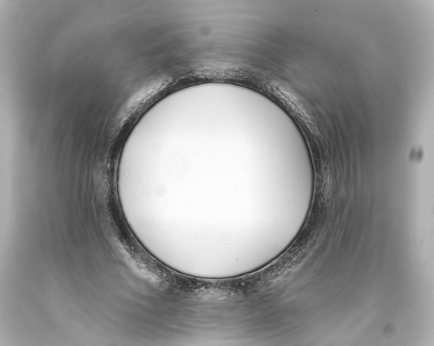 X0000093360586200711011209