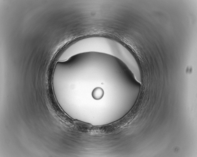 X0000093360587200711011209