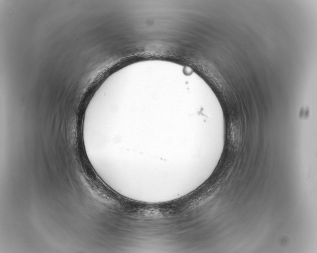 X0000093360588200711011209