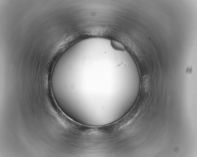 X0000093360589200711011209