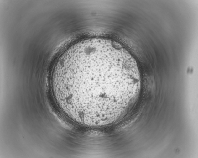 X0000093360590200711011209