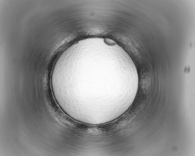 X0000093360591200711011209