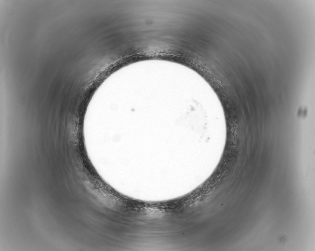 X0000093360592200711011209