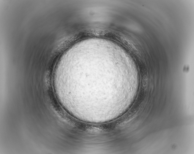 X0000093360594200711011209