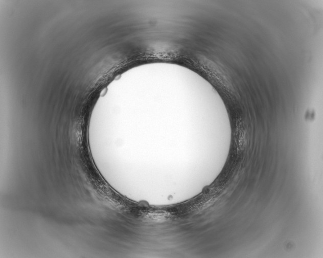 X0000093360595200711011209