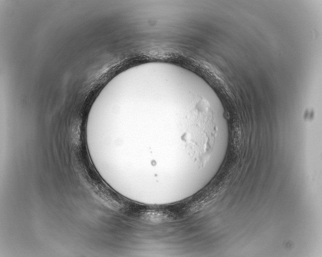 X0000093360596200711011209