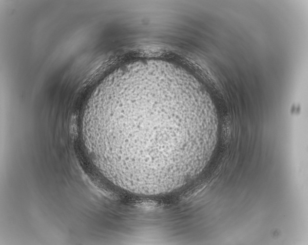 X0000093360598200711011209