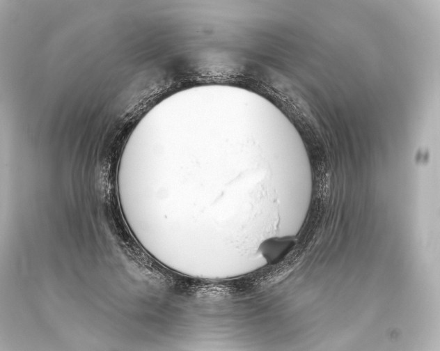 X0000093360599200711011209