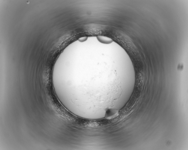 X0000093360600200711011209