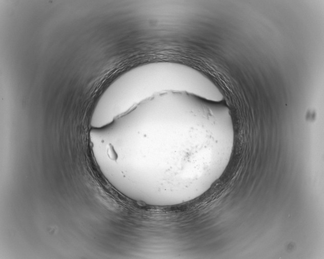 X0000093360601200711011209