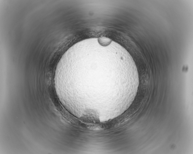 X0000093360602200711011209