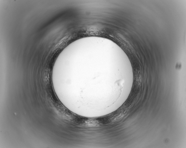 X0000093360603200711011209