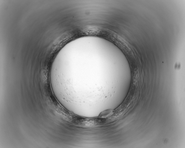 X0000093360604200711011209