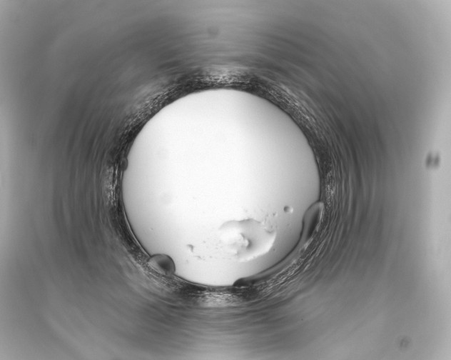 X0000093360605200711011209