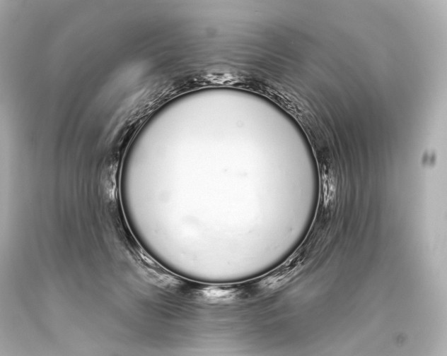 X0000093360606200711011209