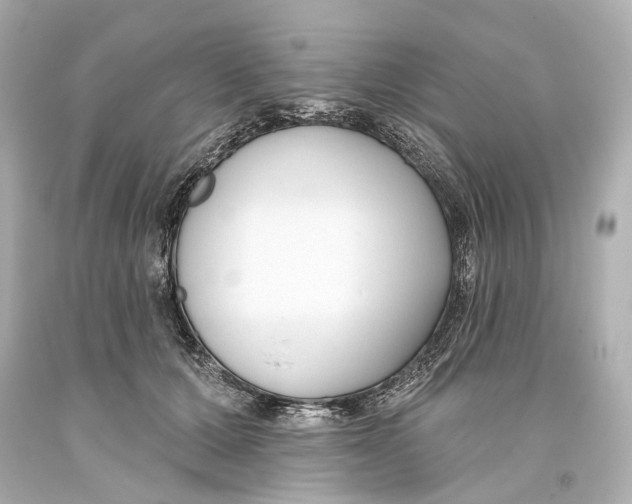 X0000093360607200711011209