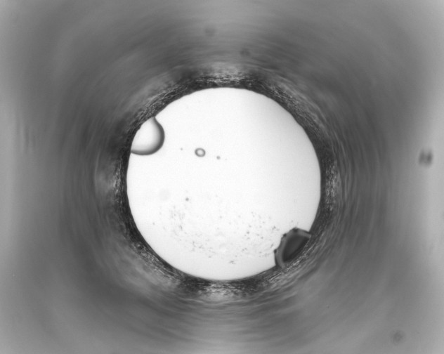 X0000093360608200711011209