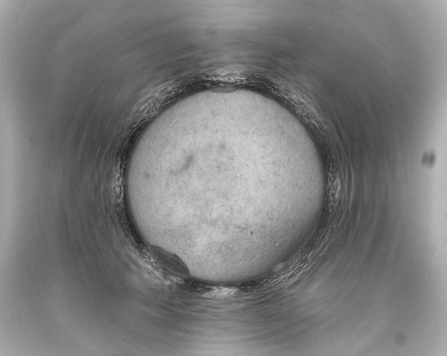 X0000093360609200711011209