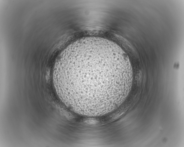 X0000093360610200711011209