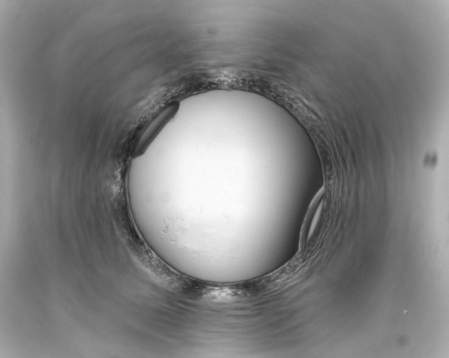 X0000093360611200711011209