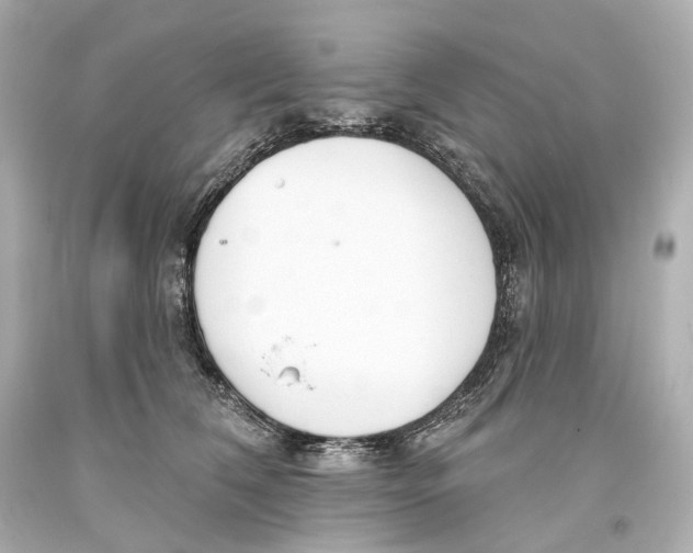 X0000093360612200711011209