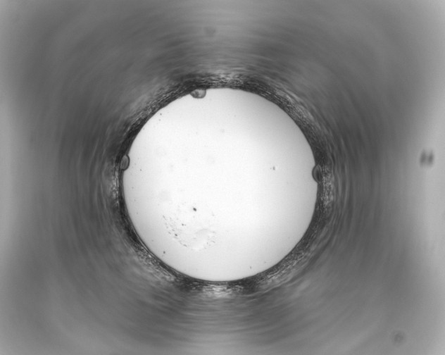 X0000093360613200711011209