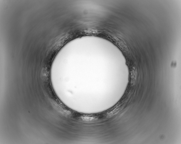 X0000093360614200711011209