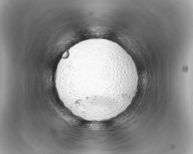 X0000093360615200711011209