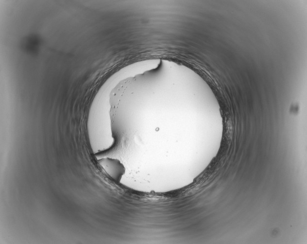 X0000093360617200711011209