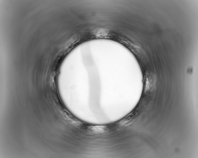 X0000093360618200711011209