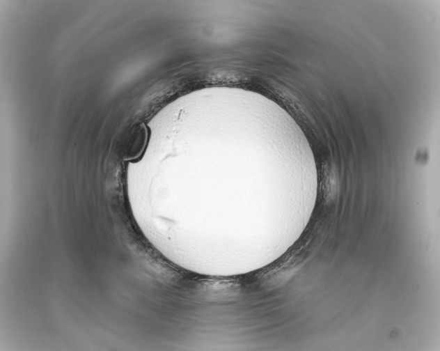 X0000093360619200711011209