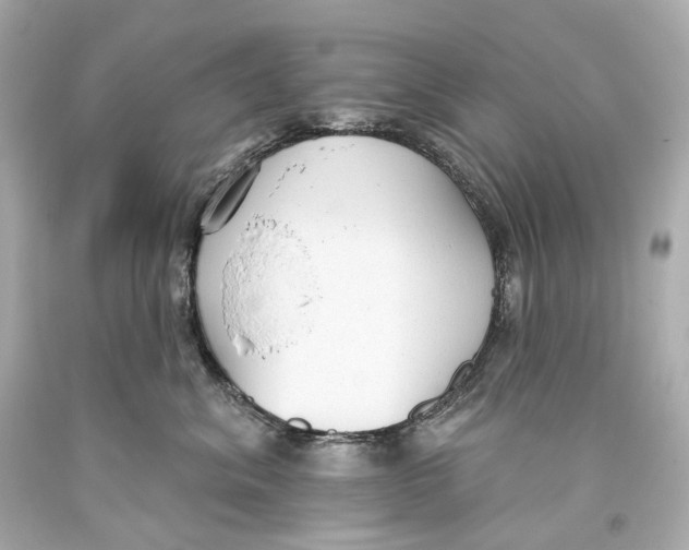 X0000093360620200711011209