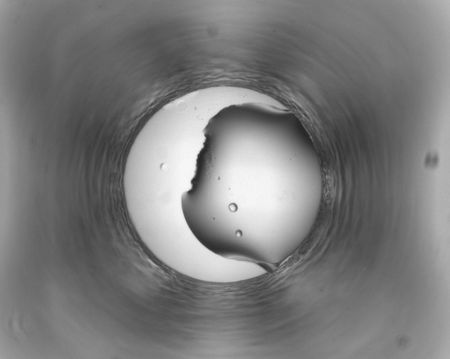 X0000093360621200711011209