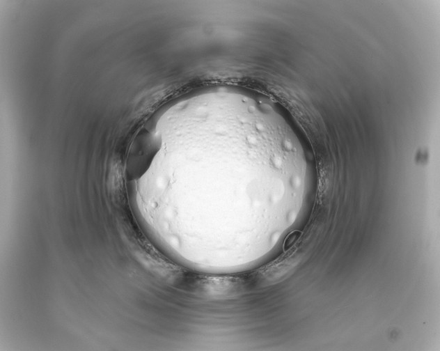 X0000093360623200711011209