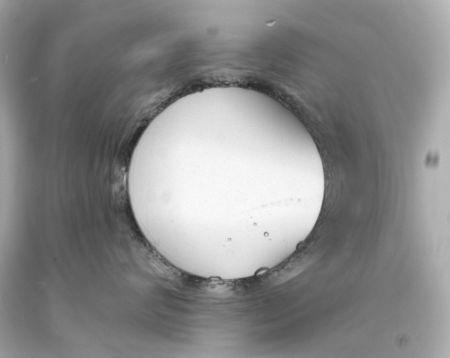 X0000093360624200711011209