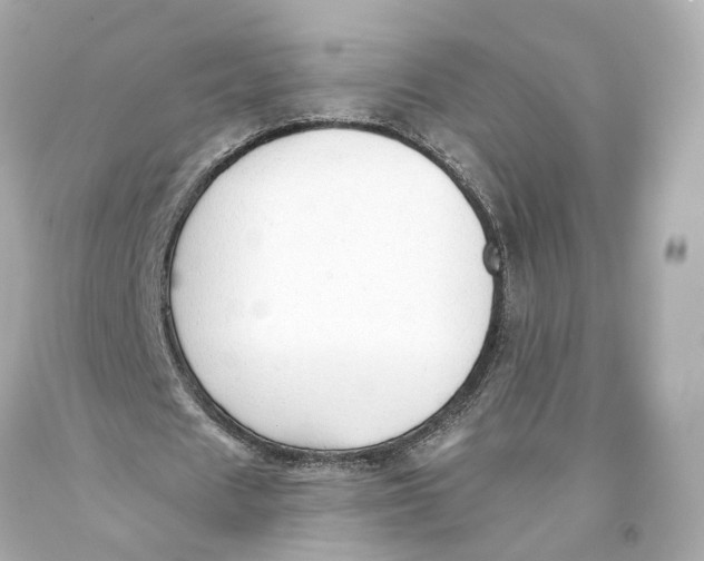 X0000093360625200711011208