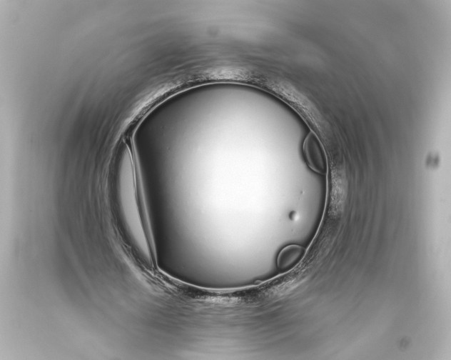 X0000093360626200711011208