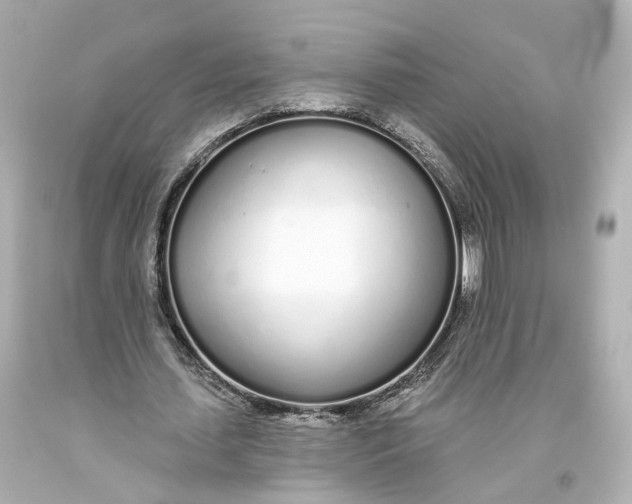 X0000093360627200711011208