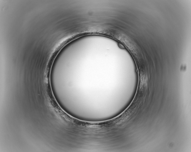 X0000093360628200711011208