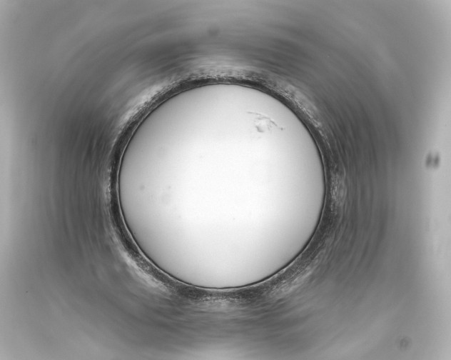 X0000093360629200711011208