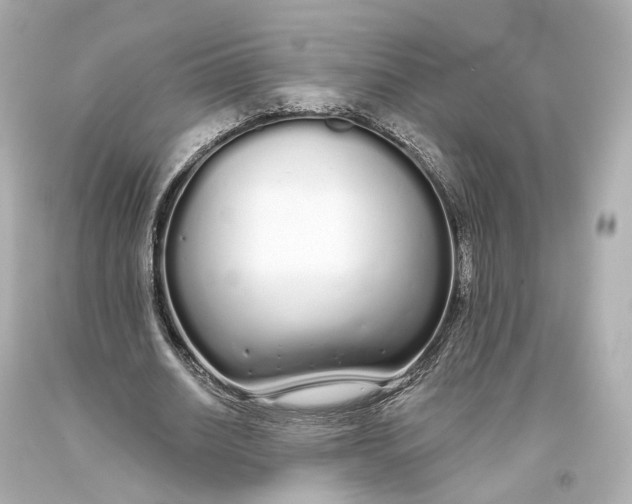 X0000093360630200711011208