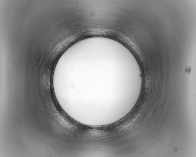 X0000093360633200711011208